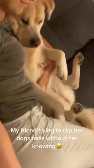 Nothing Happened