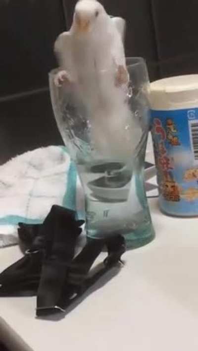 I&rsquo;m just going take a quick sip