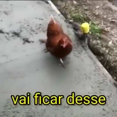 🍗🍗🍗🍗🍗🍗