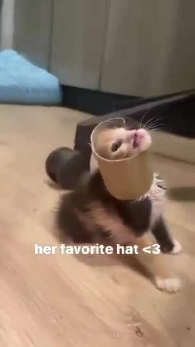 Dapper wunkus