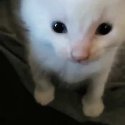 EEEEE