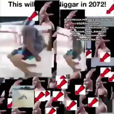 fungor 3