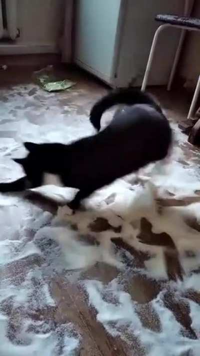Мне б такую стрессоустойчивость