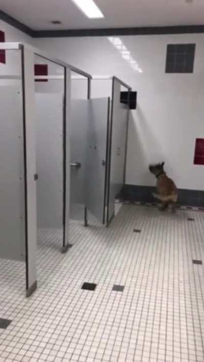 there he goes