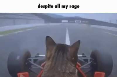 despite all my rage