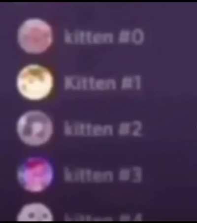 Kitten 🥰