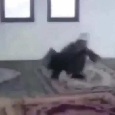O his ki Kuran kursunda ki battleroyali kazanmışsındır.