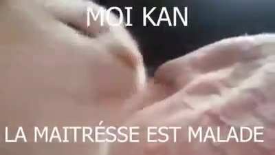 elle a la diar&eacute; 🤣🤣