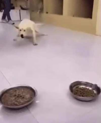 GIMME THAT &hellip; AND THAT, TOO!!