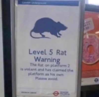 Demonic presence at unsafe levels. Lockdown in effect.
