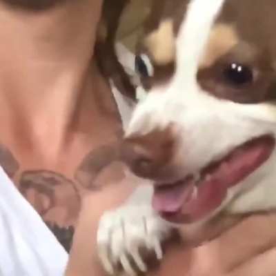 this dog