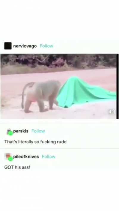 not sure if i need to crop it, but i&rsquo;ve been laughing at this for so long