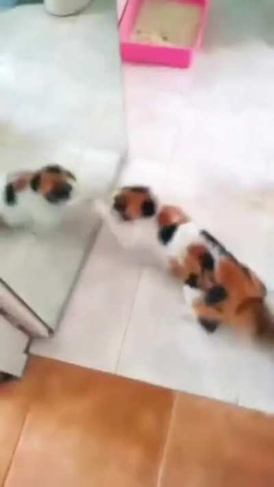 AAAAAAAAA