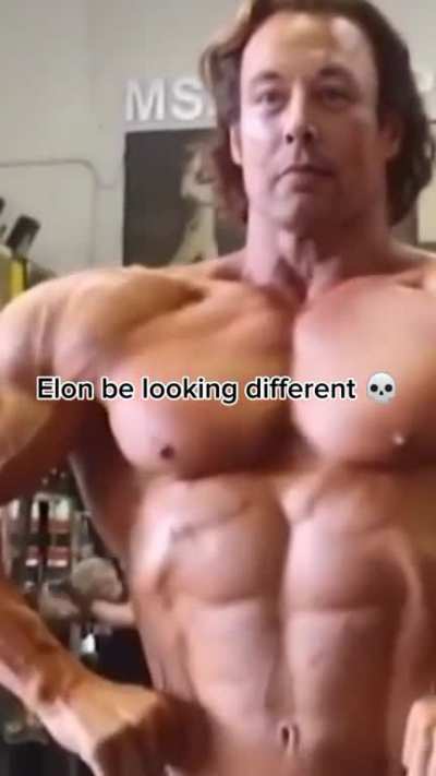 Giga Musk