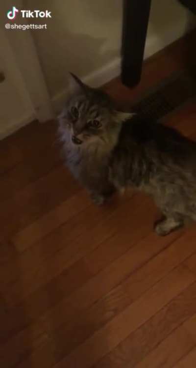 Meow Mix