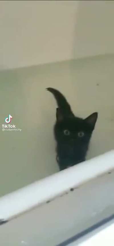 Bath time