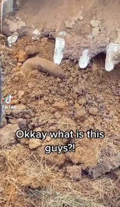 What is this?
