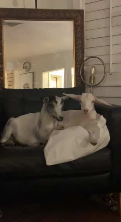 I know they&rsquo;re just sitting there talking trash about me.