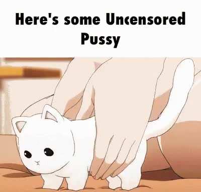 I love animal memes &amp;lt;3