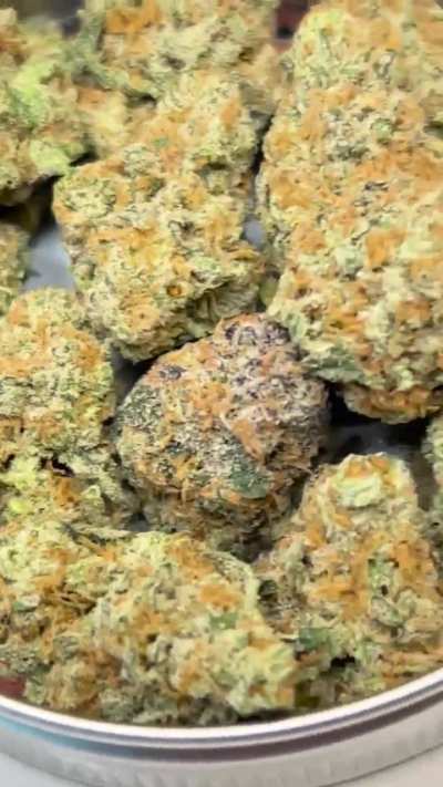 Kashmere Brassiere (kashmere kush x rozay)— grown by Locals Only out of the bay area. fizzy white grape, heavy oak, sweet onion and lime on the end. face swelling effects