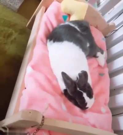 "Can't talk, late for bed"