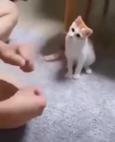 what was that