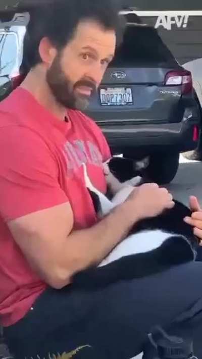 Big cat momma