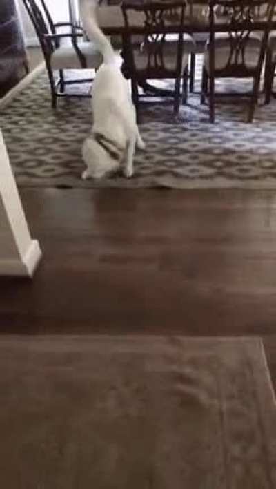 Bamboozled