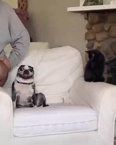 Somebody's Watching Me!