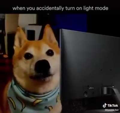 Accidentally turning on light mode