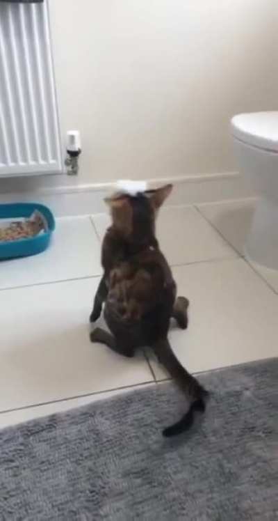 Help me! I&rsquo;m blind!