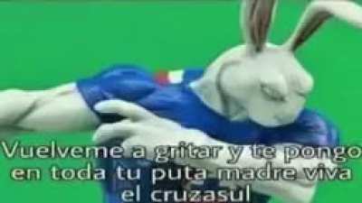Noo tigrito que hiciste 😭👊