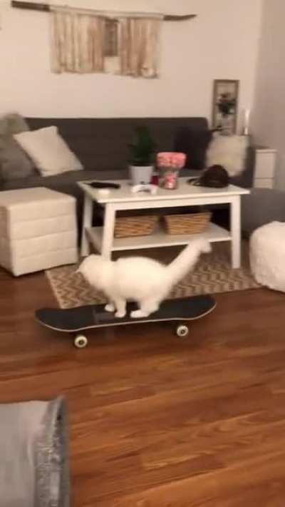 scatboard 💩