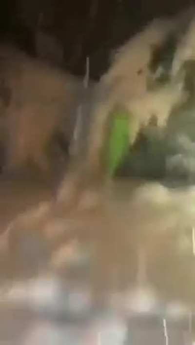 pvz