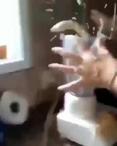 They're escaping.