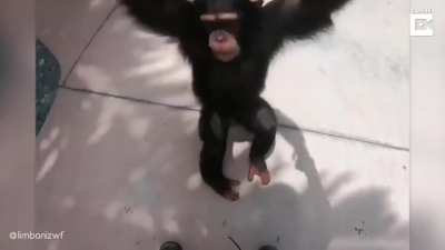 peruano parque de atracciones 😎🤟🏻