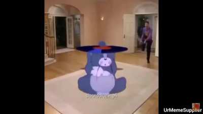 An Asian cat is a dead cat