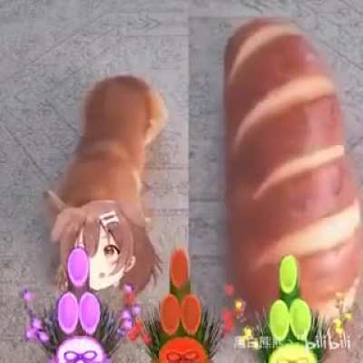 bread DOOG