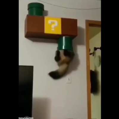 Super Meow