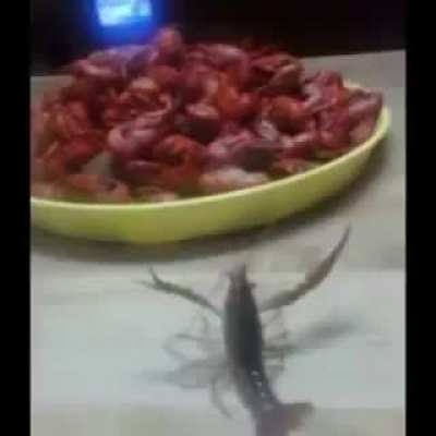 Venganza.