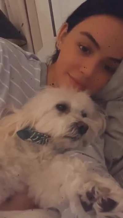Boop