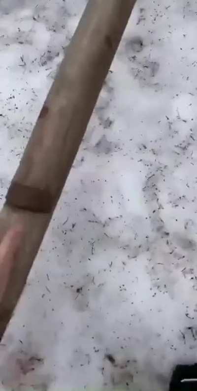 help me pull this stick