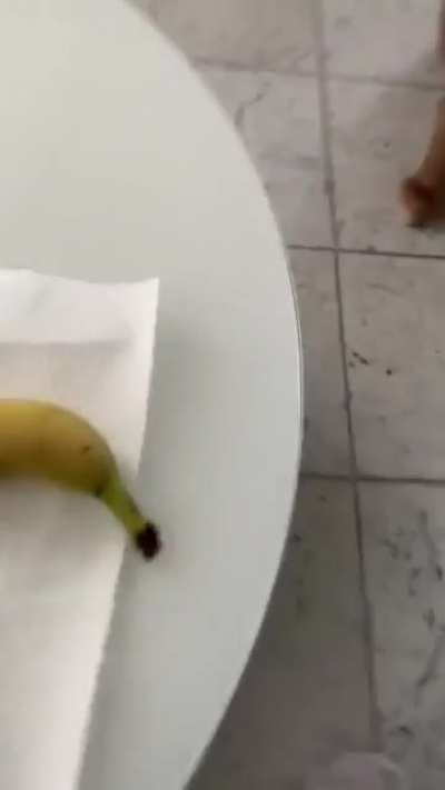 kimbnana 🍌
