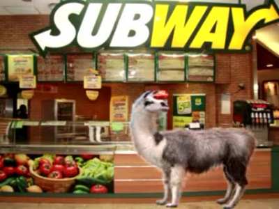 Subway llama (credit in comments)