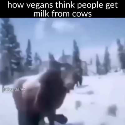 Milk is good