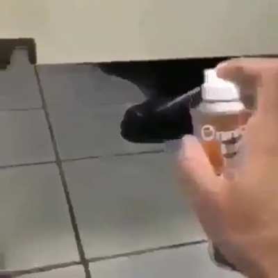 rulel 2