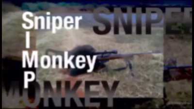 simp
