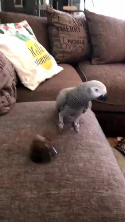 "I've had enough of this sh*t!"