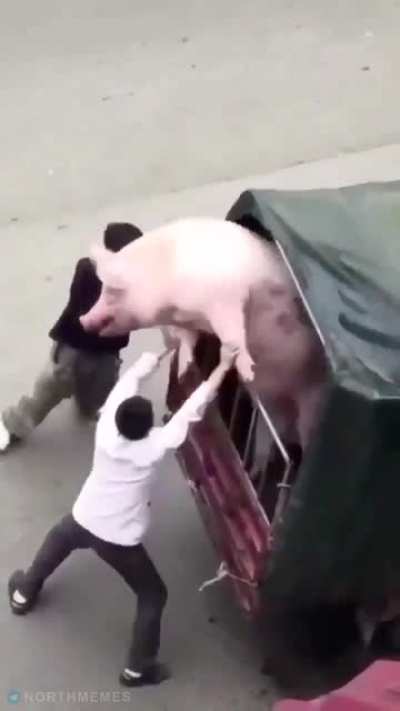 Ancient aldmer deporting the newly emerged orsimer to the mainland after Boethia took a fat shit
