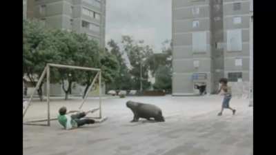nueo fichahe pal fubol clu?